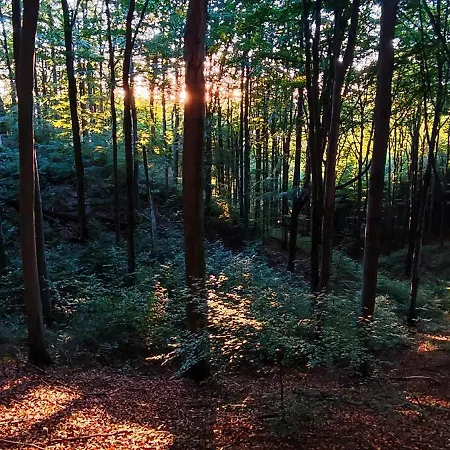 게스트하우스 Anka Zdroj 스자브노-즈드로이