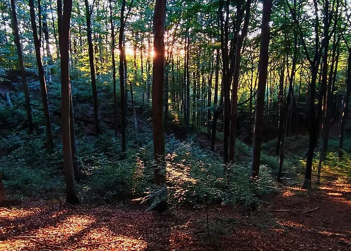 Penzion Anka Zdroj Szczawno-Zdroj